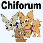 chiforum.de Logo